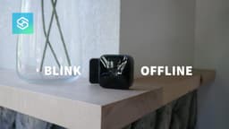 Blink camera offline