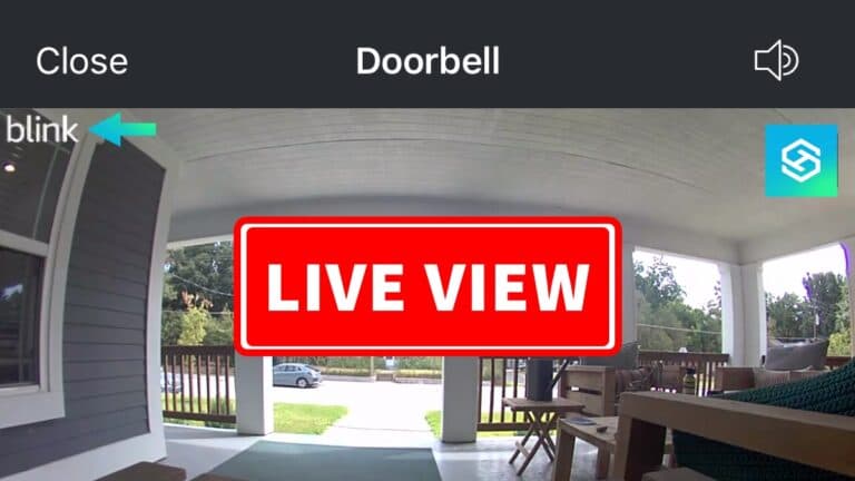 Blink Live view