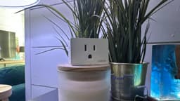 Reset Wemo plug