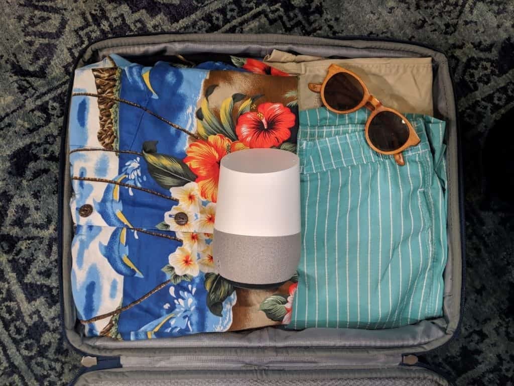 Google home in luggage.