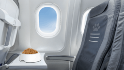 Pet food in a bowl on a tray inside an airplane.