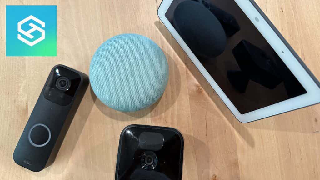 Blink and google home devices