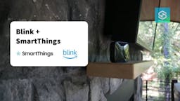Blink and smartthings