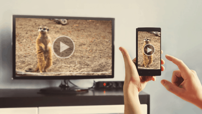 Smartphone casting a video of an animal to a smart TV in a living room.