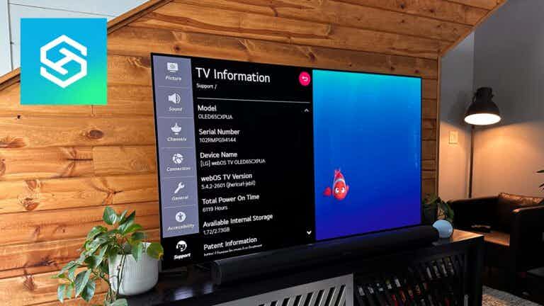 LG TV - Tv information screen