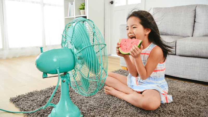 eating watermelon with a fan