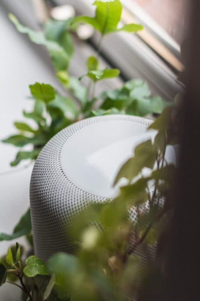 speaker in a plant