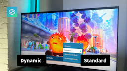 Samsung tv standard vs dynamic mode