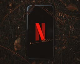 netflix logo on phone