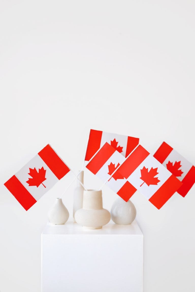 Canadian flags in little vases