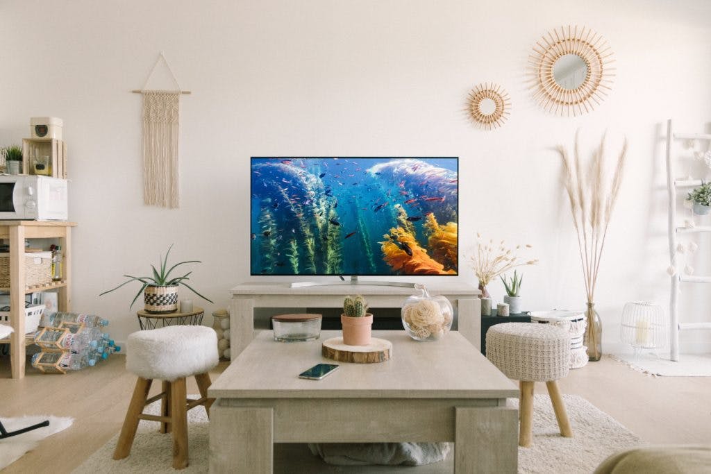 tv in a cute living room