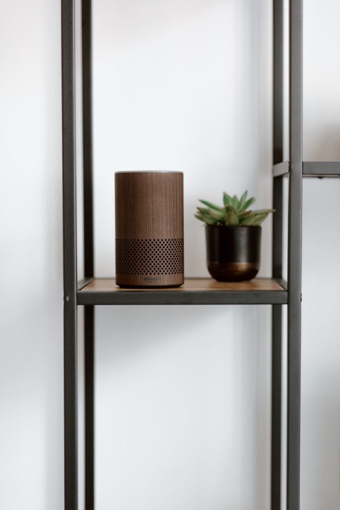 Brown Alexa on a plant stand