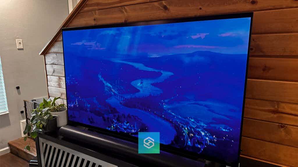 LG TV is tinted blue