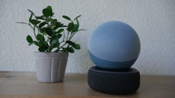 echo dot on top of echo dot next to plant