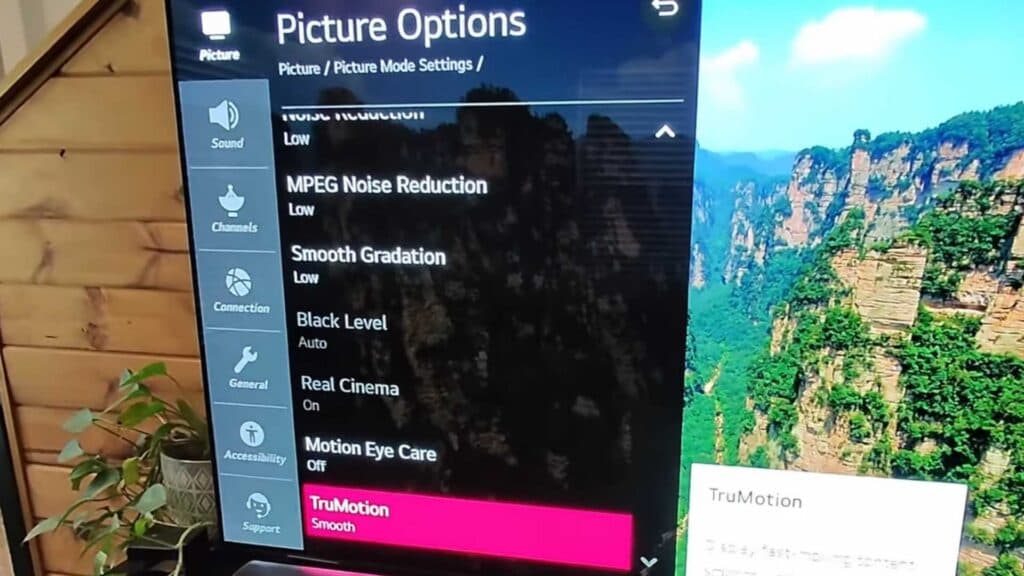 How to Disable the Soap Opera Effect on Your LG TV