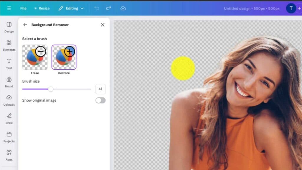 How to Remove Image Backgrounds in Canva and Export as Transparent