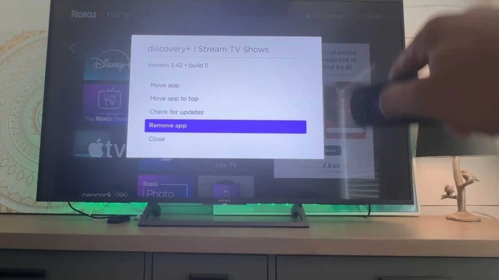 How to Delete Apps From Your Roku TV