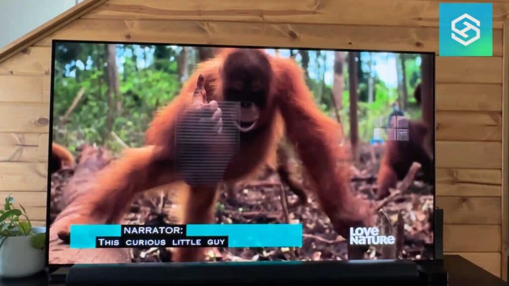 _Enlarge Closed Captions on an LG TV (Make them Bigger)